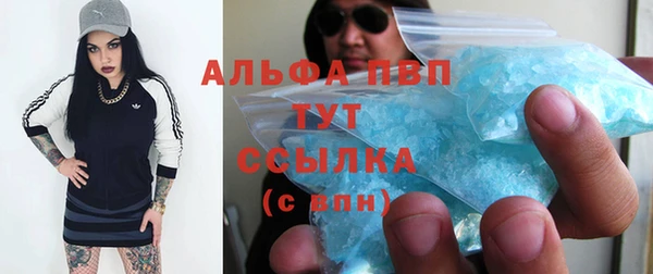гашик Богородицк