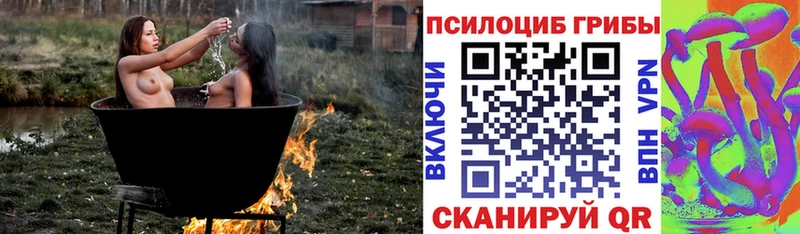 закладка  kraken как войти  Псилоцибиновые грибы GOLDEN TEACHER  Надым 